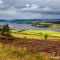 Dornoch Firth, Scotland