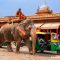 Elephant and Rickshaws at Sardar Market, Jodhpur